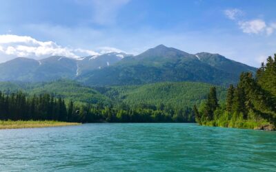 How to Catch Salmon on the Kenai River